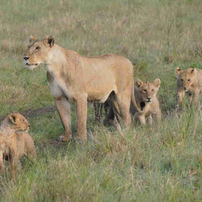 9 Days safari from Nairobi.