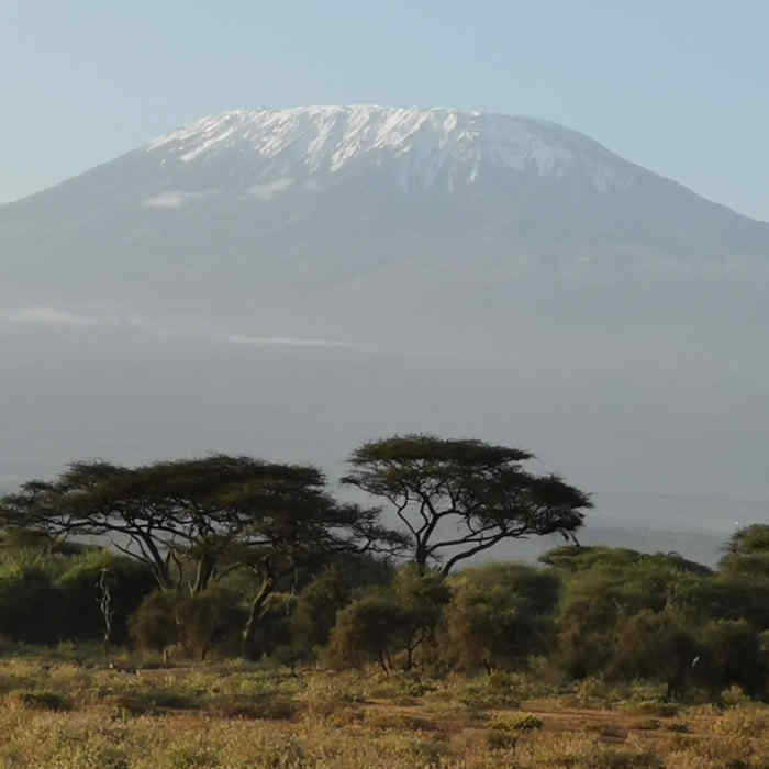 7 Days Kilimanjaro climbing Umbwe route.